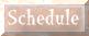 You're already on the Schedule page